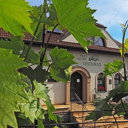 Hotel Vinohrad Milotice Bagian luar foto