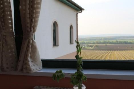 Hotel Vinohrad Milotice Bagian luar foto