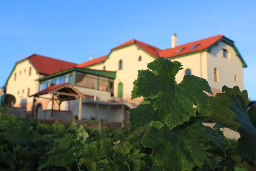 Hotel Vinohrad Milotice Bagian luar foto