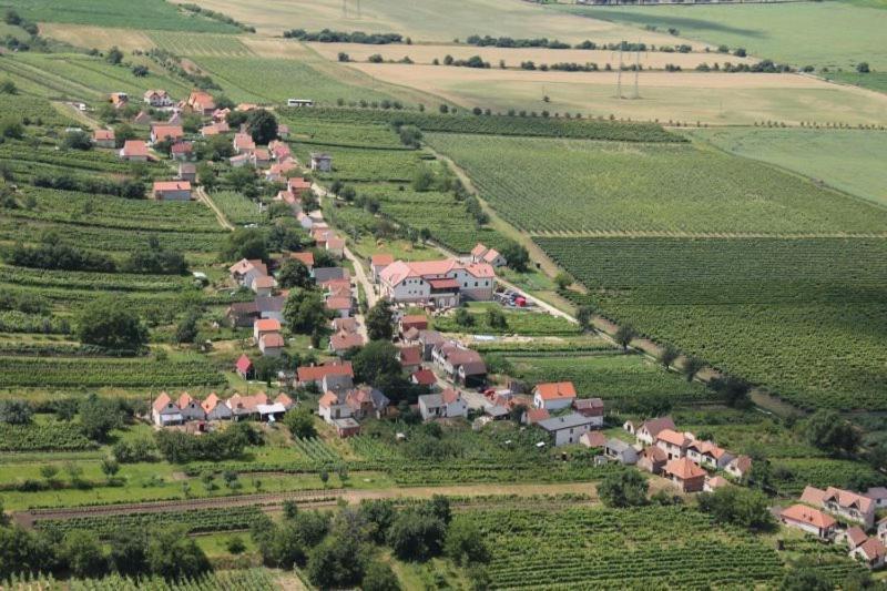 Hotel Vinohrad Milotice Bagian luar foto