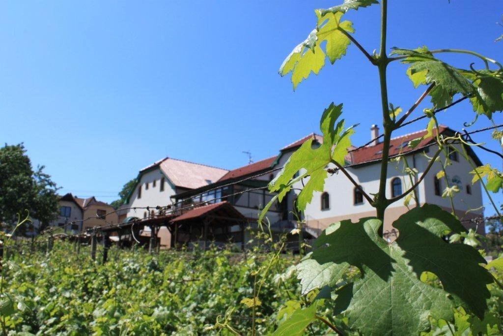 Hotel Vinohrad Milotice Bagian luar foto