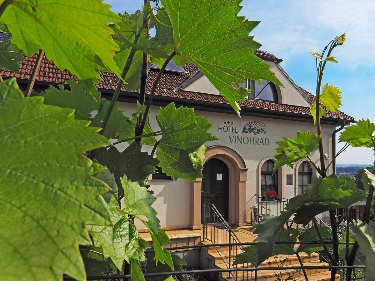Hotel Vinohrad Milotice Bagian luar foto